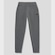 Calça The North Face Logo Cuffed - Masculina CINZA/PRETO