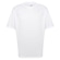 Camiseta Puma Performance SS Tee - Masculina BRANCO