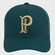 Boné Aba Curva SuperCap Palmeiras Licenciado Escudo - Adulto VERDE ESCURO