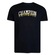 Camiseta Champion Malhão Old English Silk - Masculina PRETO