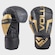 Luva De Boxe Vollo Training 14oz - Unissex OURO