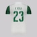 Camisa do Palmeiras Puma II 2025 23 R. Veiga - Masculina BRANCO