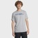 Camiseta Under Armour Wordmark Sleeve - Masculina CINZA