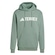 Blusão Adidas Terrex Com Capuz - Masculino VERDE CLARO