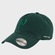 Boné SuperCap Palmeiras Escudo Bordado - Adulto VERDE ESCURO