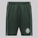 Calção do Palmeiras League III - Masculino VERDE