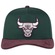 Boné Aba Curva New Era 940 A-Frame Chicago Bulls NBA Core - Adulto VERDE