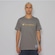 Camiseta Champion Brasil Script Bordado - Masculina VERDE ESC/VERDE