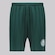Calção do Palmeiras 1914 II Betel - Infantil VERDE