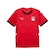 Camisa do Egito Puma 2025 Uniforme 1 Torcedor Masculina VERMELHO