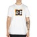 Camiseta Masculina DC Shoes Tracer Star WT25 BRANCO