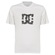 Camiseta DC Shoes Star Skully WT25 Masculina BRANCO