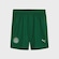 Calção do Palmeiras II 25/26 Infantil Puma Torcedor VERDE