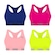 Top Puma Nadador sem Costura - 4 Unidades - Feminino AZUL/ROSA