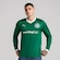 Camisa Manga Longa do Palmeiras I 25/26 Puma Torcedor Masculina VERDE