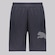 Shorts Puma Tad Big Logo Masculino CINZA