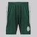 Calção do Palmeiras Player II Escudo Verde Masculino VERDE