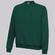 Moletom do Palmeiras Champion Infantil VERDE