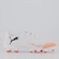 Chuteira de Campo Infantil Puma Future 8 Play FG/AG BRANCO