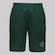 Bermuda do Palmeiras FutFanatics Malha Golden Masculina VERDE