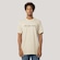 Camiseta MCD Regular More Core Div Centro Masculina CINZA