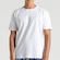 Camiseta Volcom Solid Stone WT25 Masculina BRANCO