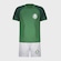 Kit Uniforme de Futebol Infantil Betel Palmeiras Line VERDE
