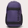 Mochila Oakley The Freshman Skate Backpack 20 Litros VINHO