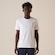 Camiseta Fila Basic Sports II Masculina BRANCO
