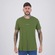 Camiseta DC Shoes Baseline Masculina VERDE
