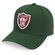 Boné Adulto New Era 9forty A-Frame NFL Las Vegas Raiders Aba Curva VERDE