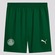 Calção Palmeiras II Puma 25/26 Masculino VERDE