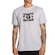 Camiseta DC Shoes DC Star Chrome Silver Masculina CINZA