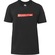 Camiseta Quiksilver Clicker Logo DNA Masculina CINZA