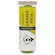 Bola de Tênis Dunlop Grand Prix Regular Duty Saibro - Tubo com 3 Unidades VERDE