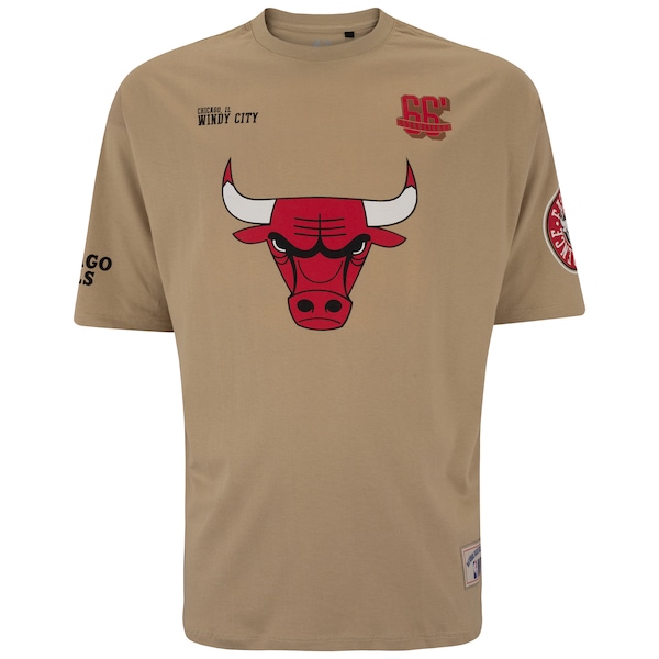 Camiseta do Chicago Bulls NBA Masculina Pennant N0539