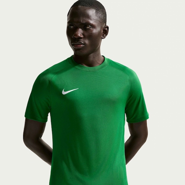 Camiseta Nike Park VIII Masculina