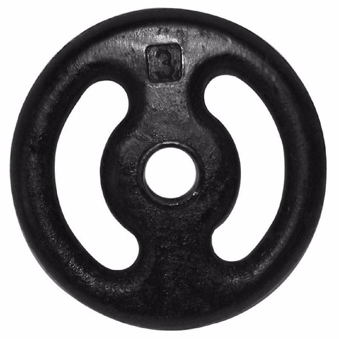 Anilha KL Master Pintada Peso Academia Musculação 3 Kg - Foto 1