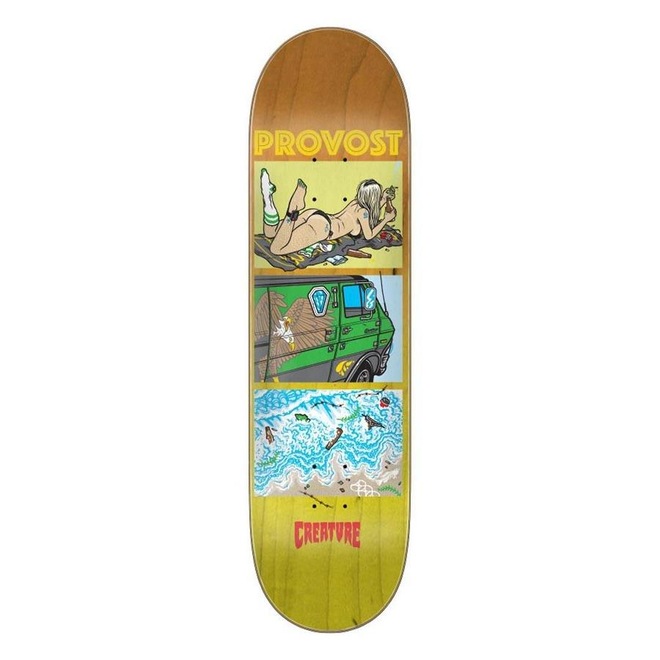 Shape Creature Maple Provost Hesh Coast 8.47 - Foto 1