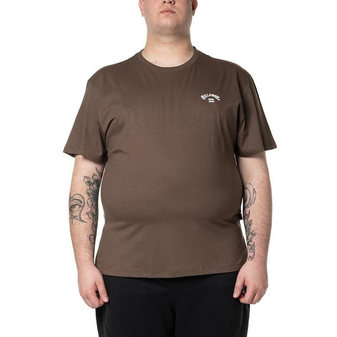 Camiseta Billabong Small Arch Emb. Plus Size - Masculina - Foto 1