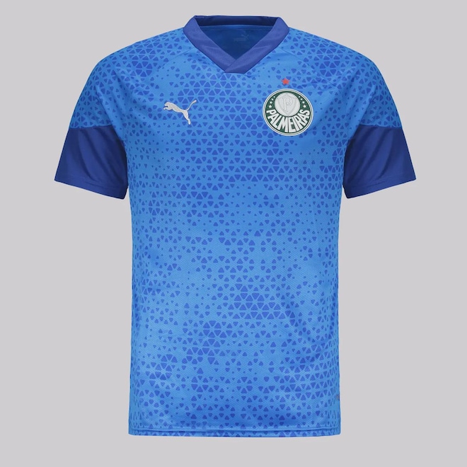 Camisa do Palmeiras Puma Training 2024 - Masculina - Foto 1