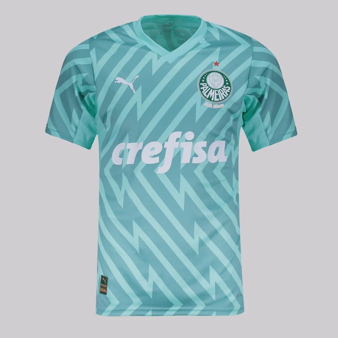 Camisa do Palmeiras II Goleiro 2024 Jogador Puma Masculina - Foto 1