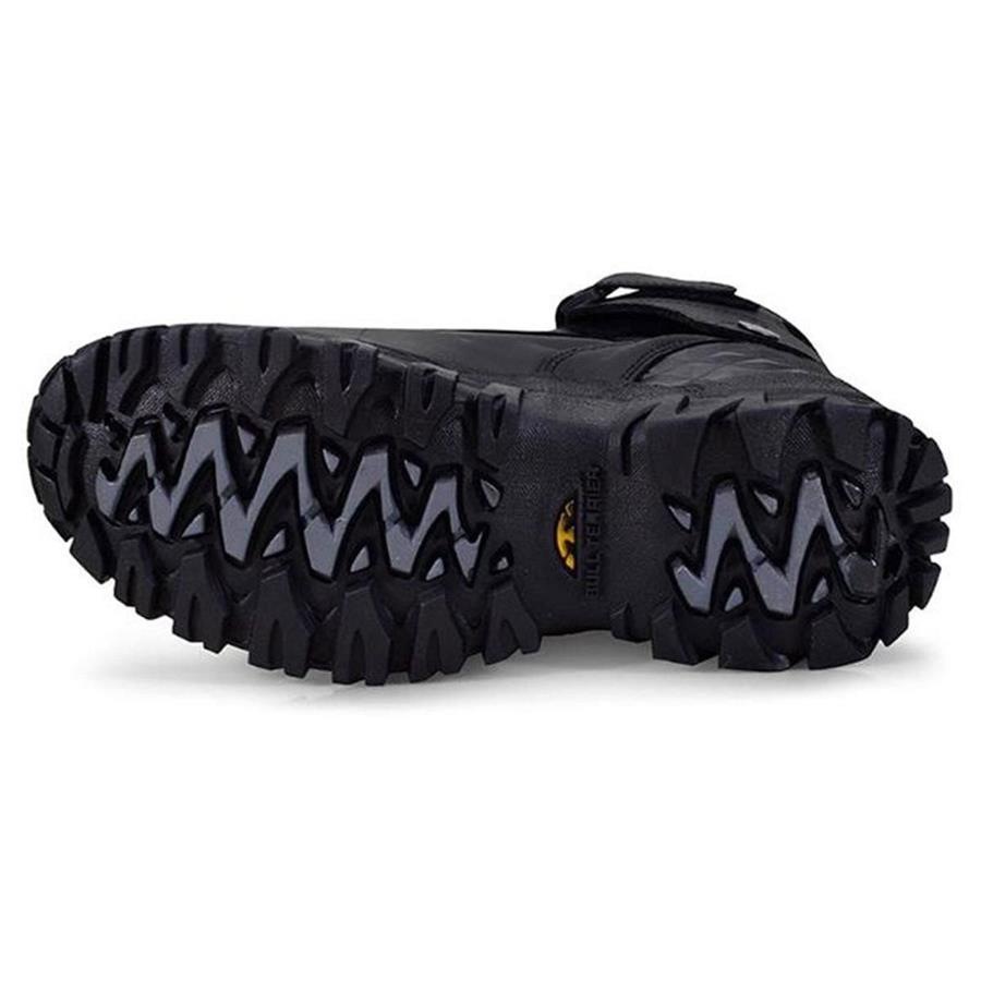 bull terrier centauro