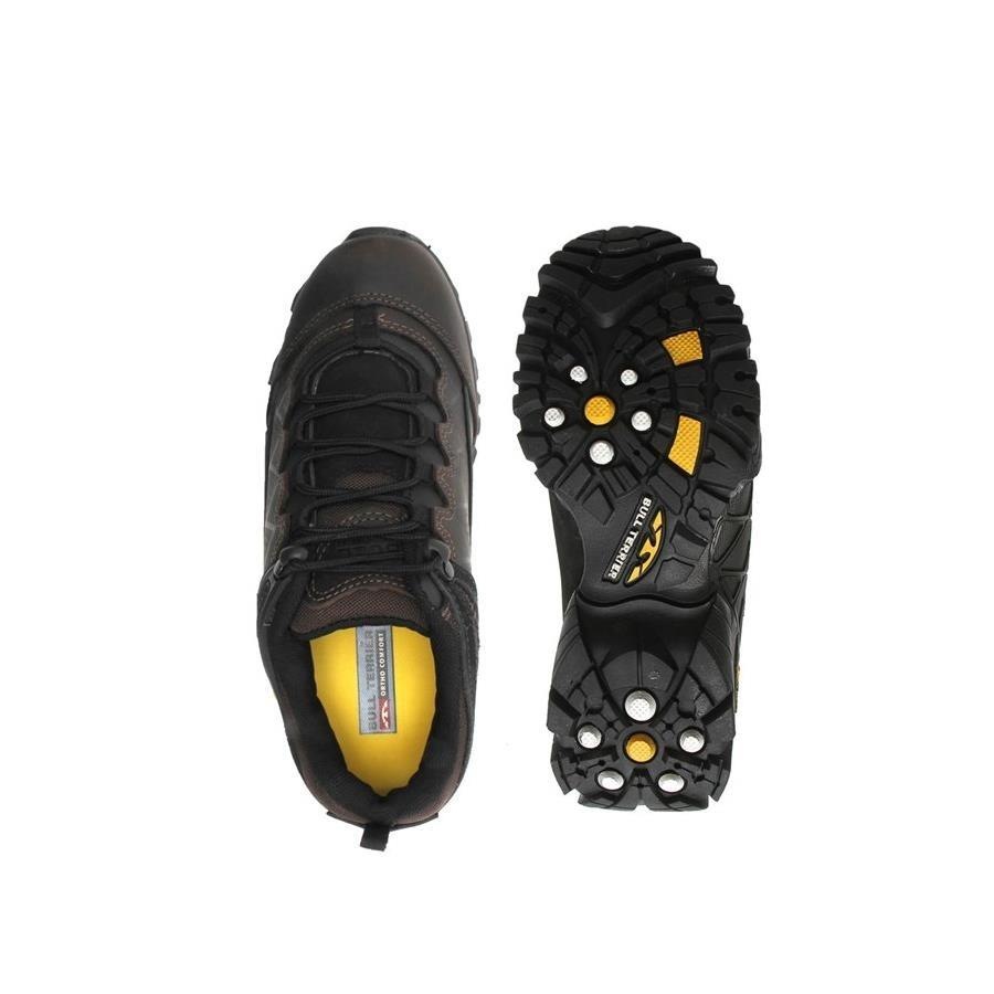 bull terrier extreme low