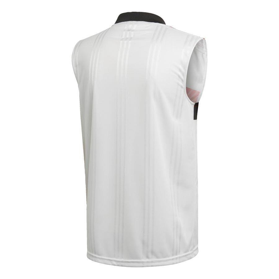 regata flamengo centauro