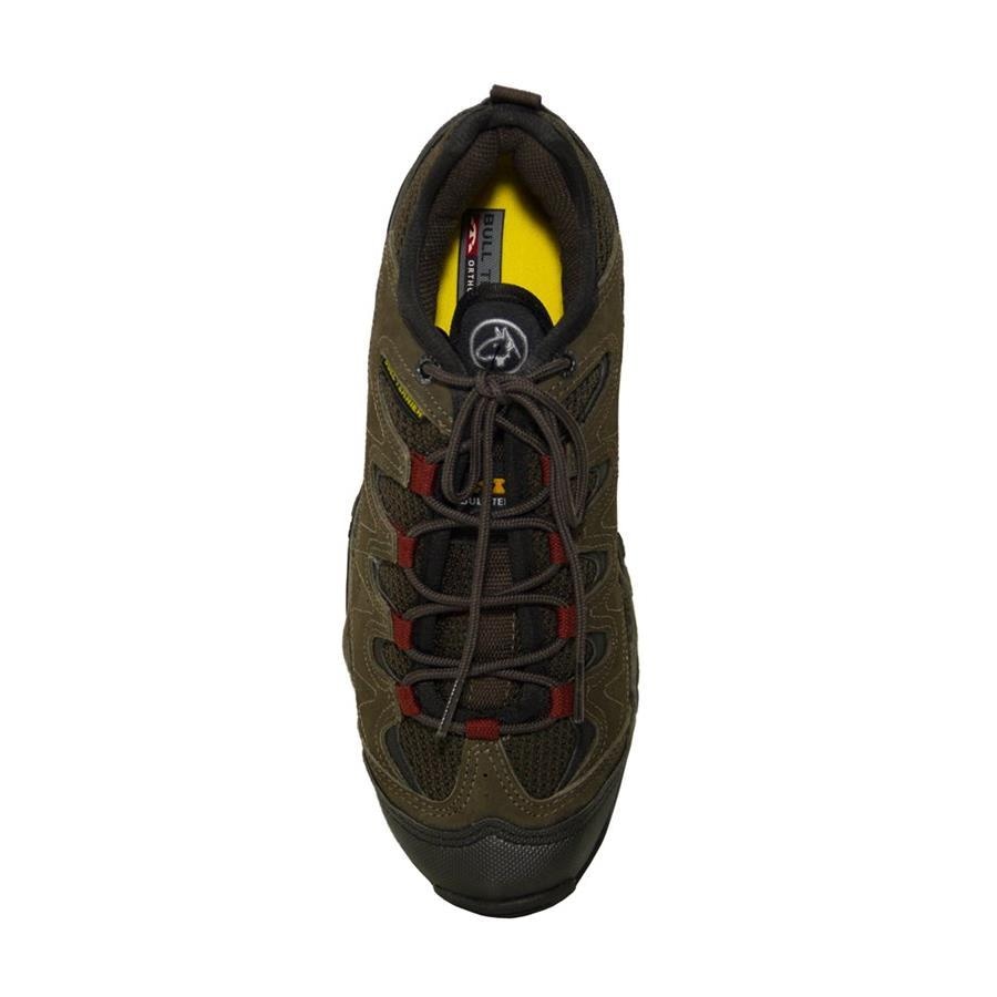 bull terrier syncron