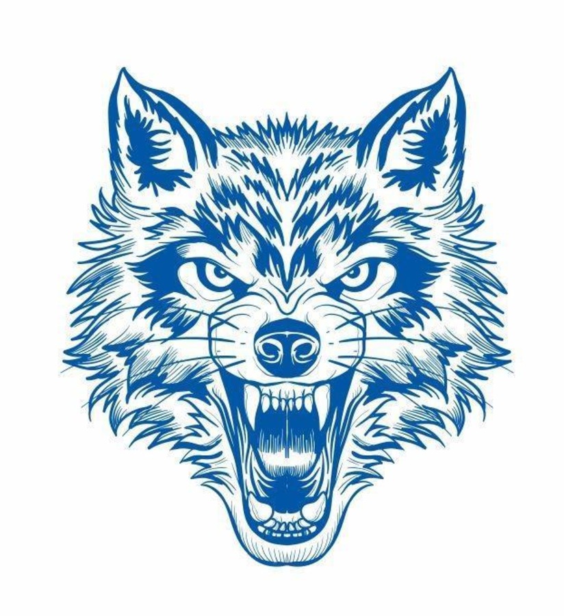 wolves fc moletom com capuz