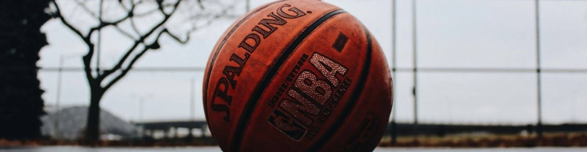 Quais as posições dos jogadores de basquete?