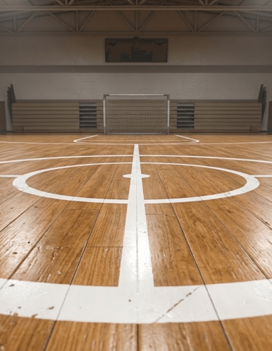 Imagem de Futsal